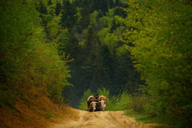 The beautiful Romanian countryside