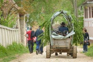 25+ Things to Do in Romania in 2025: Popular, Cool and Unique!