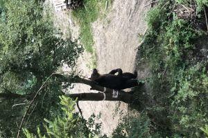 Snapshot of traveller