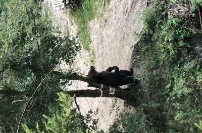 Snapshot of traveller