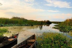 15 Things to do in the Danube Delta