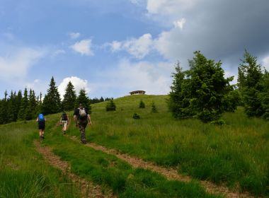 Romanian Adventures & Wildlife Tours