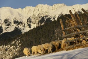 Walk & shoot in beautiful landscapes