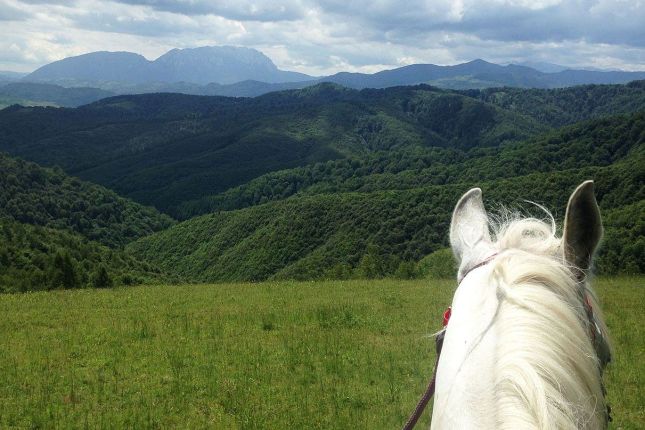 Horse ridding trip in Transylvania, Romania