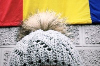 Snapshot of traveller